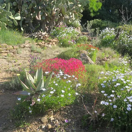 Maison Vue Exceptionnelle Tatil Evi