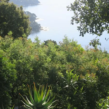 Maison Vue Exceptionnelle Le Lavandou