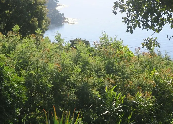 Maison Vue Exceptionnelle Le Lavandou
